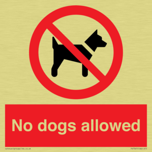No dogs allowed